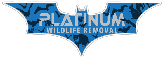 Cadillac Wildlife Removal